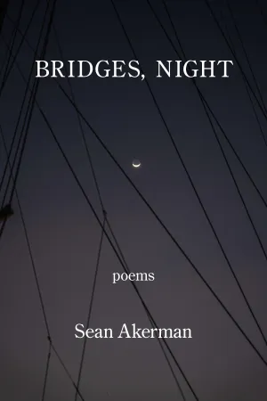 Bridges, Night