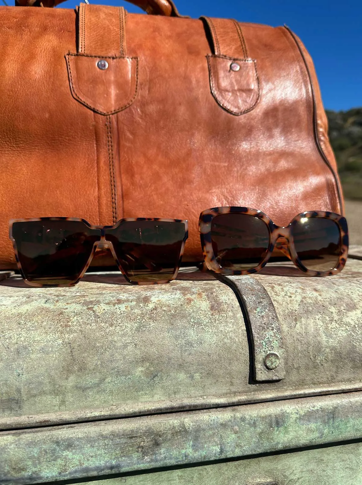 Glamorous Cat Eye Vented Temple Sunglasses in Tortoise